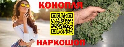 крисы Коломна