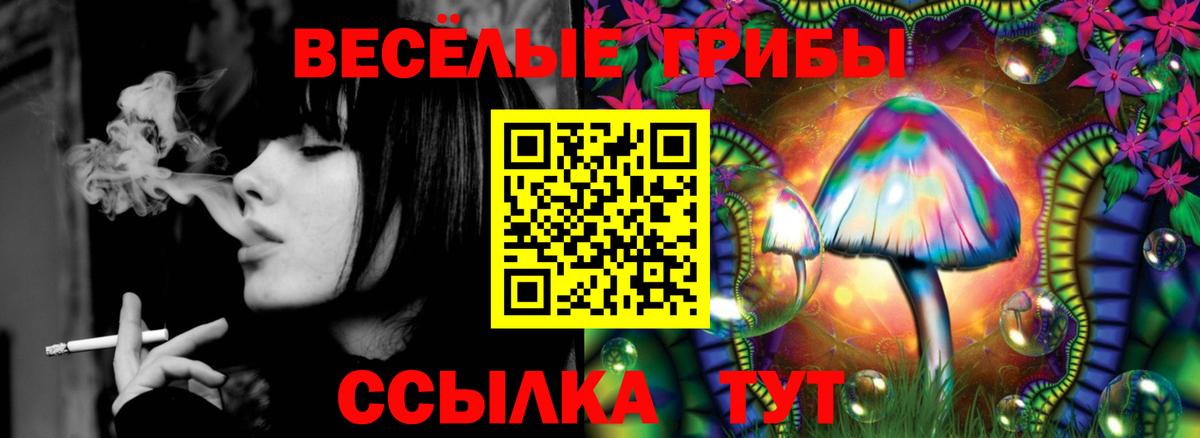 Псилоцибиновые грибы Cubensis  Псилоцибиновые грибы Psilocybine cubensis  Вход с VPN  Гатчина 