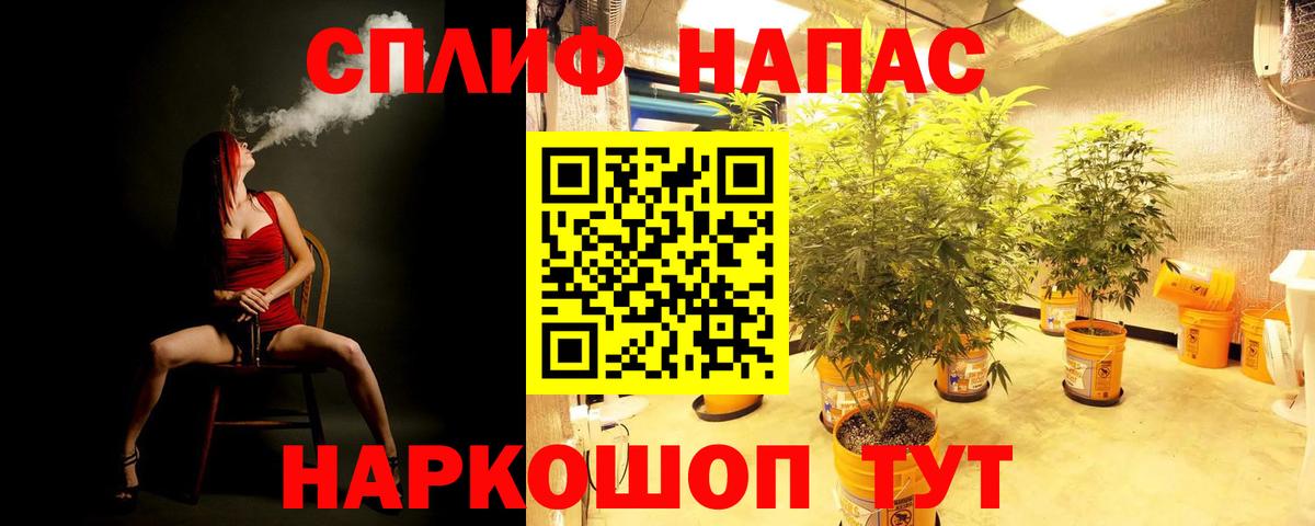 Каннабис планчик  Вход с VPN  Шишки марихуана план  Гатчина 